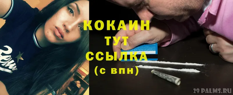 цены   Великий Устюг  Кокаин VHQ 