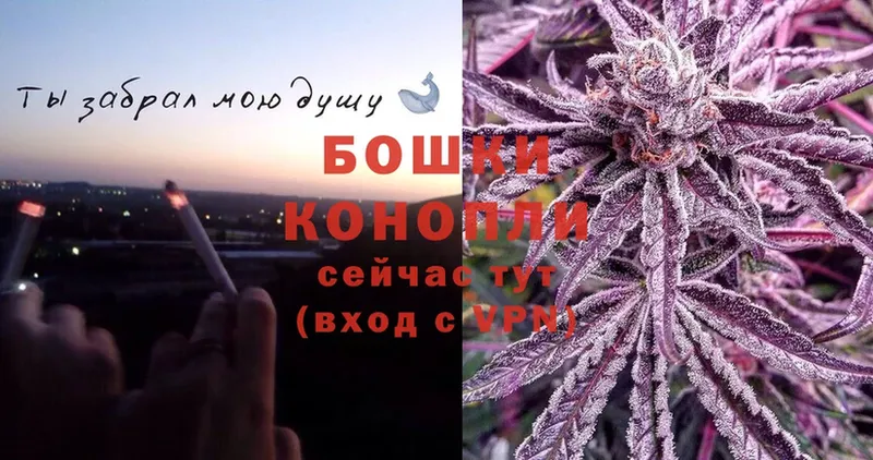 что такое наркотик  Великий Устюг  Бошки Шишки THC 21% 